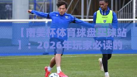 【南美杯体育球盘买球站】:2026年玩家必读的操作指南与风险提示
