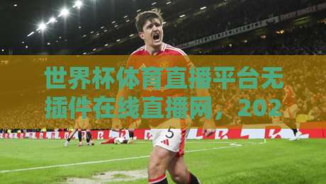 世界杯体育直播平台无插件在线直播网，2026年看球新姿势？