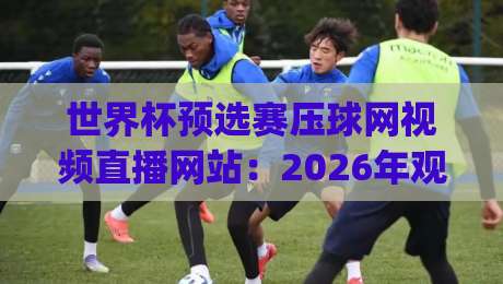 世界杯预选赛压球网视频直播网站:2026年观赛新姿势,你get到了吗?