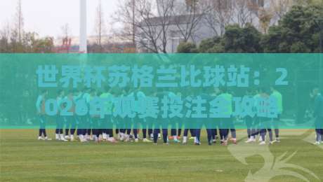 世界杯苏格兰比球站:2026年观赛投注全攻略(新手必读)