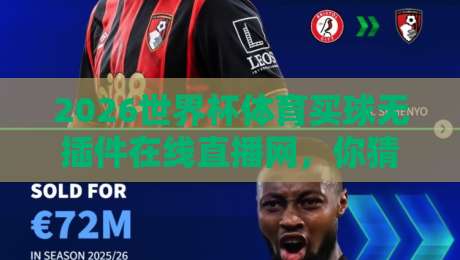 2026世界杯体育买球无插件在线直播网,你猜怎么着?这里才是真香入口!