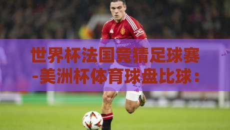 世界杯法国竞猜足球赛-美洲杯体育球盘比球:2026年竞猜玩家必看策略