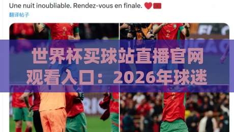 世界杯买球站直播官网观看入口：2026年球迷必知的五大观赛渠道