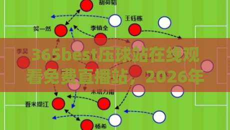 365best压球站在线观看免费直播站，2026年观赛新选择！(365best压球站在线观看免费直播站)