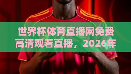 世界杯体育直播网免费高清观看直播，2026年这些平台让你爽看全场！