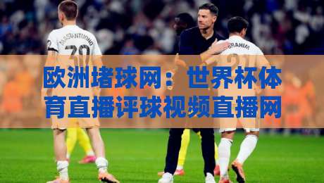 欧洲堵球网：世界杯体育直播评球视频直播网站，2026年球迷的新据点