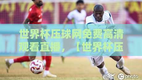世界杯压球网免费高清观看直播，【世界杯压球网】2026年观赛新姿势！