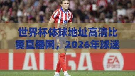 世界杯体球地址高清比赛直播网,2026年球迷必备的观赛神器
