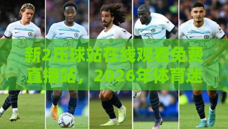 新2压球站在线观看免费直播站，2026年体育迷都在用的神器！