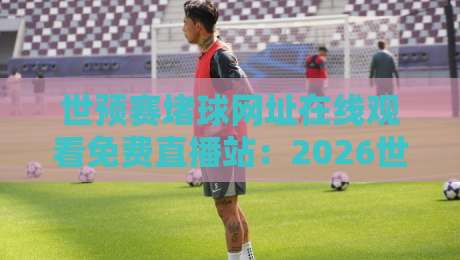 世预赛堵球网址在线观看免费直播站：2026世界杯预选赛观赛指南与避坑手册