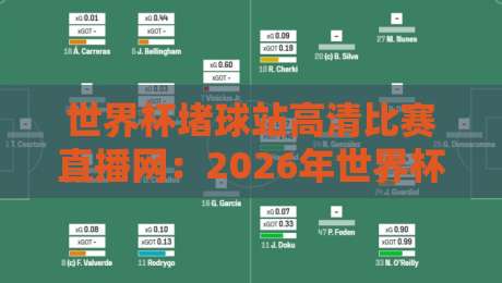 世界杯堵球站高清比赛直播网：2026年世界杯观赛新宠，高清不卡顿的秘密