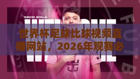 世界杯足球比球视频直播网站，2026年观赛必备指南