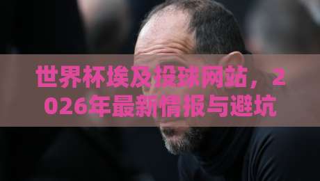 世界杯埃及投球网站,2026年最新情报与避坑指南