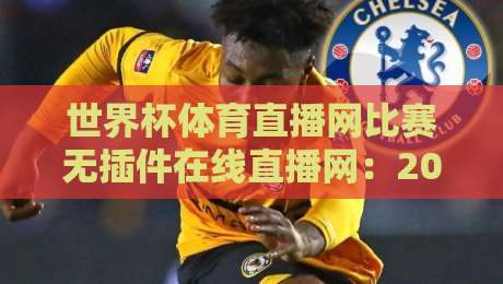 世界杯体育直播网比赛无插件在线直播网：2026年观赛指南与实测分享