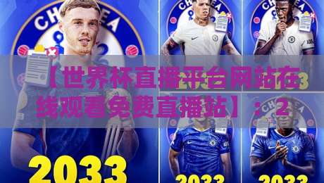 【世界杯直播平台网站在线观看免费直播站】：2026年最新选择与避坑指南