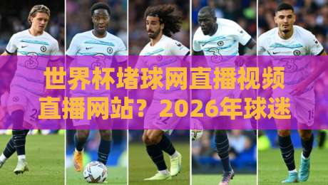 世界杯堵球网直播视频直播网站?2026年球迷必看的正规观赛指南!
