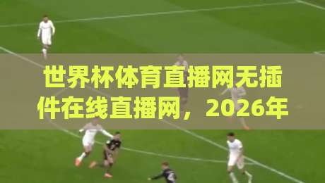 世界杯体育直播网无插件在线直播网，2026年看球新方式+(世界杯直播)