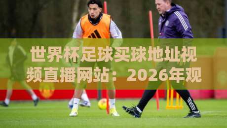 世界杯足球买球地址视频直播网站:2026年观赛与投注指南