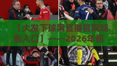 【大发下球网直播官网观看入口】——2026年最新观赛指南，球迷必看