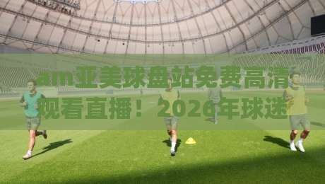 am亚美球盘站免费高清观看直播!2026年球迷必看指南(am亚美球盘站)