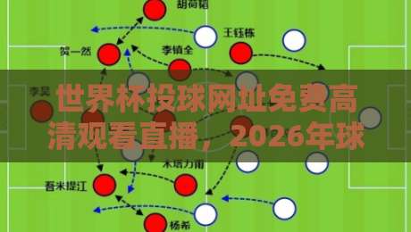 世界杯投球网址免费高清观看直播,2026年球迷必看的三大观赛渠道