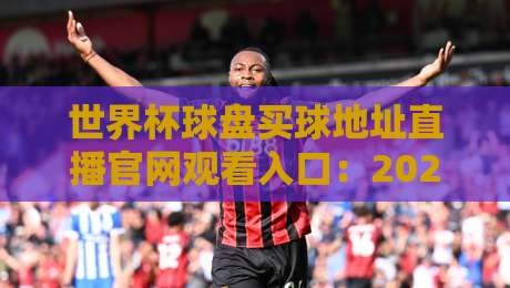 世界杯球盘买球地址直播官网观看入口：2026年球迷必看防坑指南