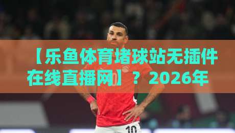 【乐鱼体育堵球站无插件在线直播网】？2026年看球党都在用的神器，你还没试过？