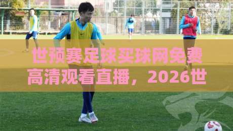 世预赛足球买球网免费高清观看直播,2026世预赛观赛指南与实战避坑 世预赛足球买球网免费高清观看直播,2026世预赛观赛指南与实战避坑