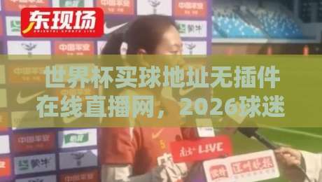 世界杯买球地址无插件在线直播网，2026球迷必看的观赛攻略
