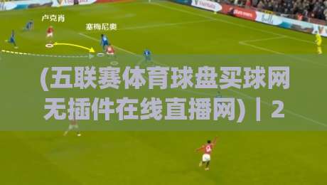 (五联赛体育球盘买球网无插件在线直播网)｜2026观赛新选择：零卡顿五大联赛实时追踪