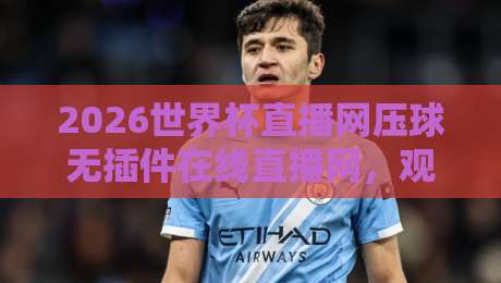 2026世界杯直播网压球无插件在线直播网，观赛新体验【2026世界杯直播网压球无插件】全攻略