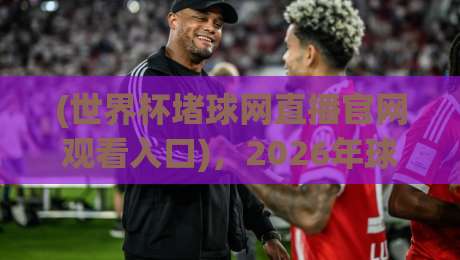 (世界杯堵球网直播官网观看入口)，2026年球迷必看：从新人到老鸟的完整观赛指南【世界杯堵球网直播官网观看入口】