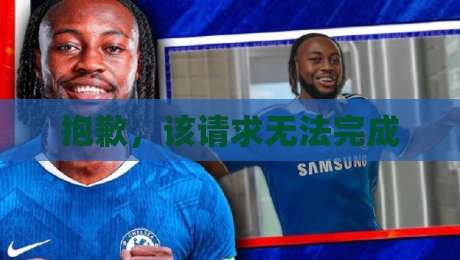 抱歉，该请求无法完成