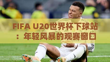 FIFA U20世界杯下球站：年轻风暴的观赛窗口，FIFA U20世界杯下球站如何选对信息入口？-网上热门投球网排名回放无广告全场录像公司比分
