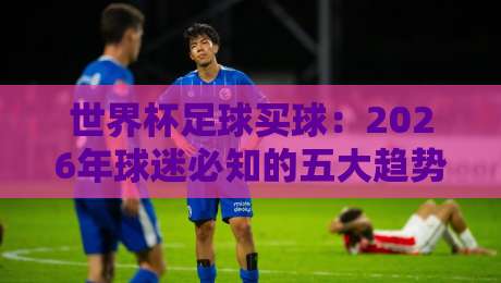 世界杯足球买球：2026年球迷必知的五大趋势与避坑指南
