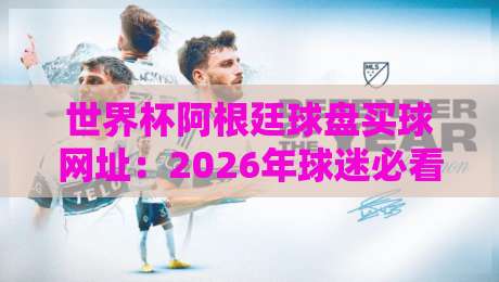 世界杯阿根廷球盘买球网址：2026年球迷必看的避坑指南与实战心得