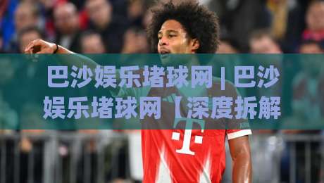 巴沙娱乐堵球网 | 巴沙娱乐堵球网【深度拆解】+ 2026年球迷互动新玩法与数据预判逻辑-今日最新外围让球站频道英文解说反波胆链接受让视频