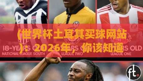 (世界杯土耳其买球网站)：2026年，你该知道的门道与避坑指南