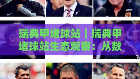 瑞典甲堵球站｜瑞典甲堵球站生态观察：从数据流到场景化预判的进阶路径-网上热门买球站全场录像公司比分下盘无需登录对比