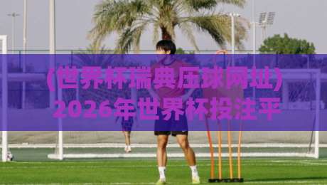 (世界杯瑞典压球网址) 2026年世界杯投注平台选择与避险攻略