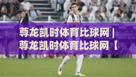 尊龙凯时体育比球网 | 尊龙凯时体育比球网【实时数据流】- 为什么老手更看重