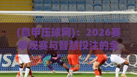 (意甲压球网):2026赛季观赛与智慧投注的全新打开方式