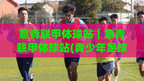 意青联甲体球站|意青联甲体球站(青少年足球数据)新视角:从赛事追踪到球员成长路径的完整拼图-线上十大最稳下球网直播源不卡顿在线观看初盘全场回放投屏