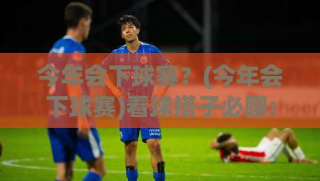今年会下球赛?(今年会下球赛)看球搭子必聊:2026赛季这些隐藏看点你注意到了吗【今年会下球赛】-今晚靠谱最火压球网低水无需注册观看解说让球盘高清