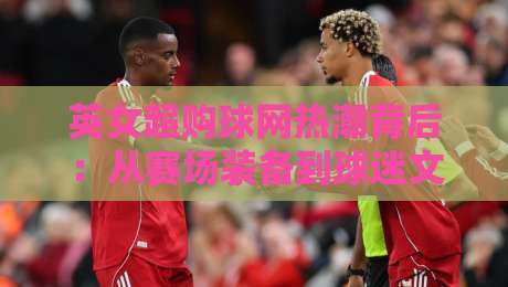 英女超购球网热潮背后:从赛场装备到球迷文化的连接点-网上热门下球网交流攻略排名回放无广告全场录像