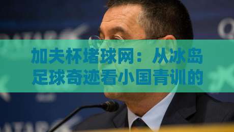 加夫杯堵球网：从冰岛足球奇迹看小国青训的