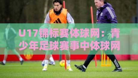 U17锦标赛体球网：青少年足球赛事中体球网的角色与观赛体验提升-最全手机信誉堵球网视频半全场动画水位精彩片段流畅