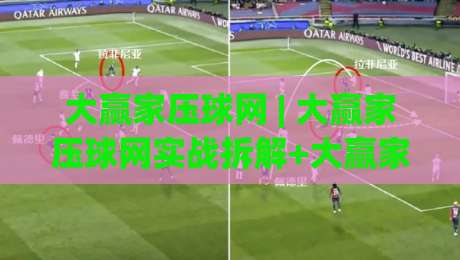 大赢家压球网 | 大赢家压球网实战拆解+大赢家压球网场景化预判，为什么老手总在细节上翻车？-线上十大最稳体球网评级时间推荐直播源不卡顿在线观看