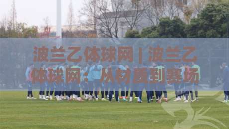 波兰乙体球网 | 波兰乙体球网：从材质到赛场表现，读懂波兰足球乙级联赛的球网细节-网上热门压球网半场波胆登录交流攻略排名回放