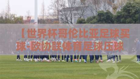 【世界杯哥伦比亚足球买球-欧协联体育足球压球网】,2026年最新实战指南与避坑建议